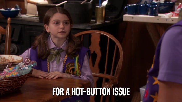 FOR A HOT-BUTTON ISSUE  
