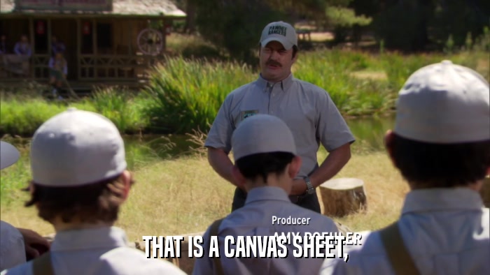 THAT IS A CANVAS SHEET,  