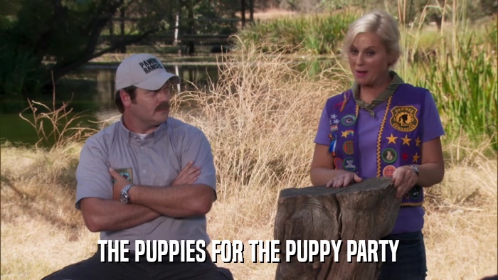 THE PUPPIES FOR THE PUPPY PARTY  
