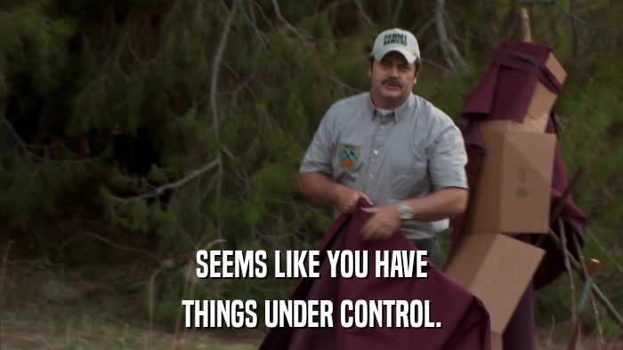 SEEMS LIKE YOU HAVE THINGS UNDER CONTROL. 