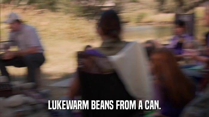 LUKEWARM BEANS FROM A CAN.  