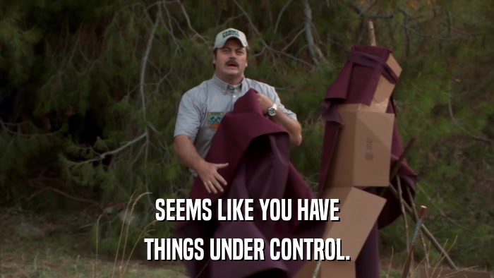SEEMS LIKE YOU HAVE THINGS UNDER CONTROL. 