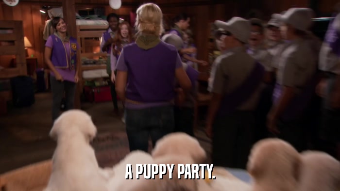 A PUPPY PARTY.  