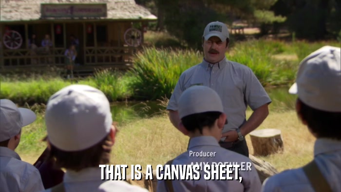 THAT IS A CANVAS SHEET,  