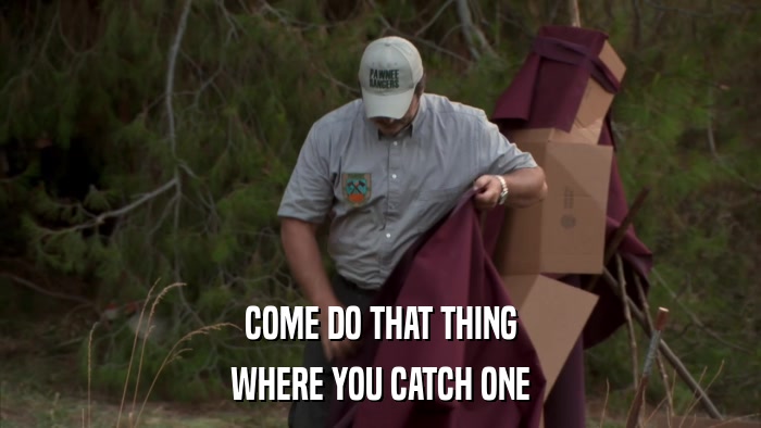 COME DO THAT THING WHERE YOU CATCH ONE 