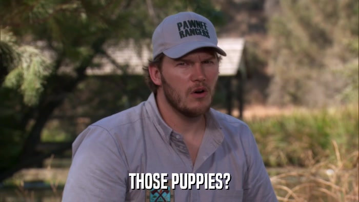THOSE PUPPIES?  