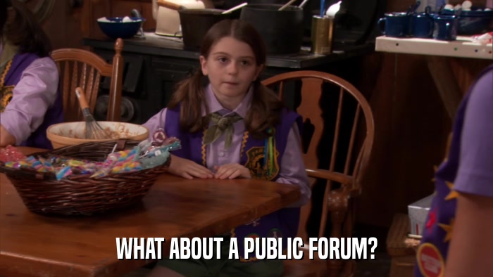 WHAT ABOUT A PUBLIC FORUM?  