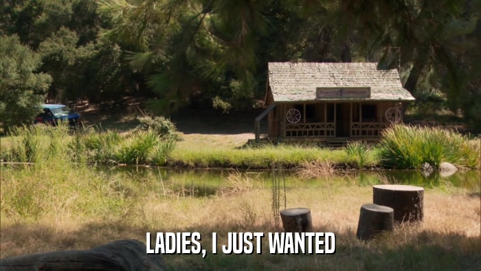 LADIES, I JUST WANTED  