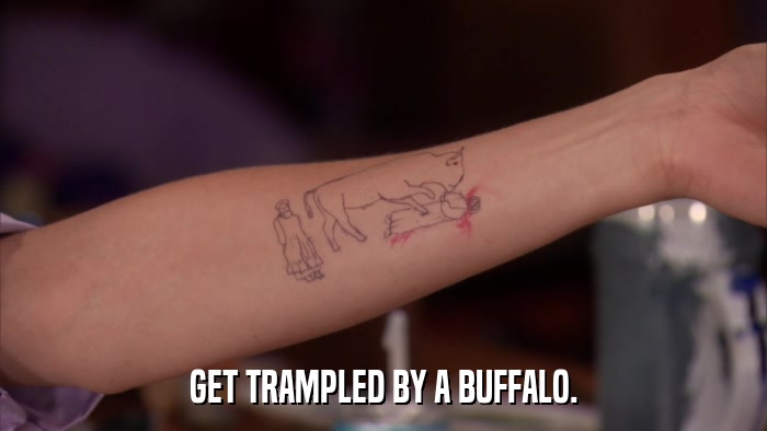 GET TRAMPLED BY A BUFFALO.  