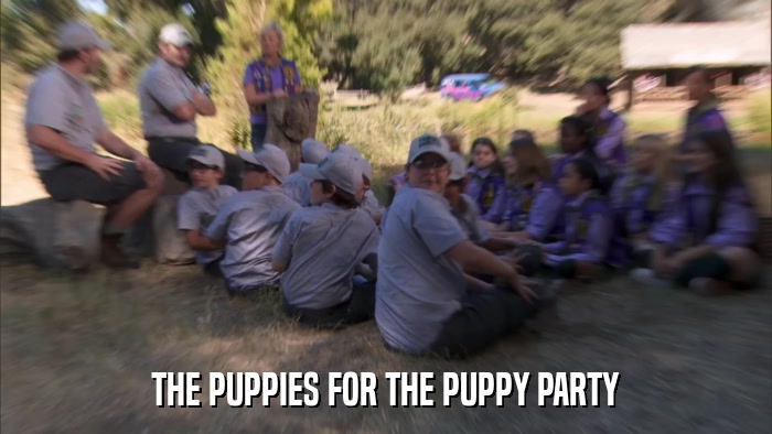 THE PUPPIES FOR THE PUPPY PARTY  