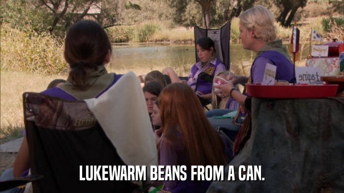 LUKEWARM BEANS FROM A CAN.  