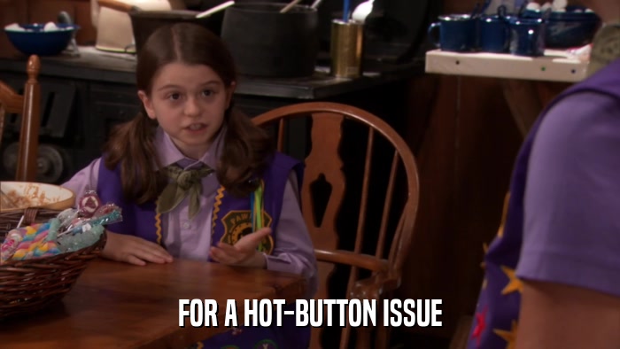 FOR A HOT-BUTTON ISSUE  