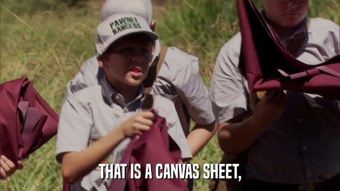 THAT IS A CANVAS SHEET,  