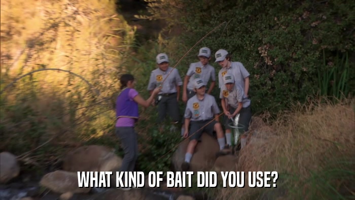 WHAT KIND OF BAIT DID YOU USE?  
