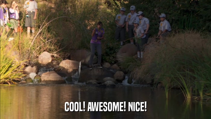 COOL! AWESOME! NICE!  
