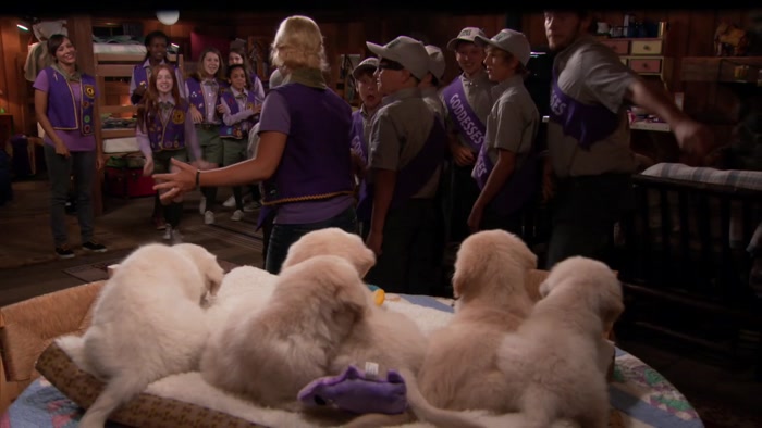 A PUPPY PARTY.  