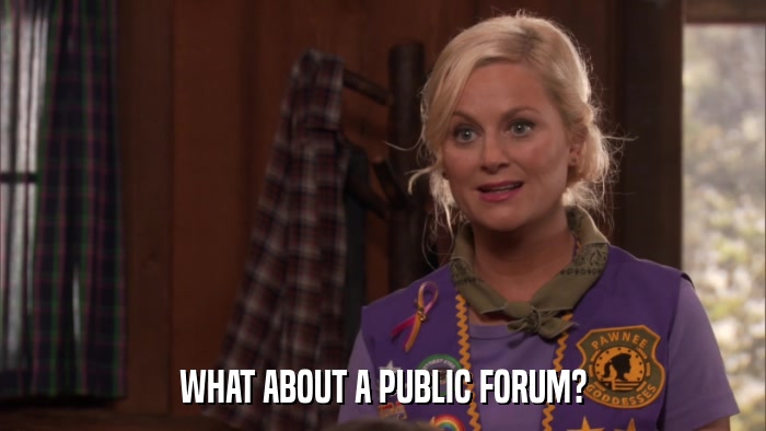WHAT ABOUT A PUBLIC FORUM?  