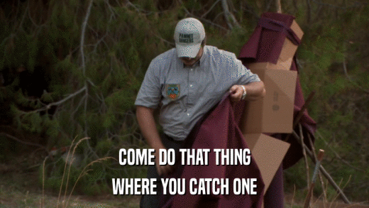 COME DO THAT THING WHERE YOU CATCH ONE 