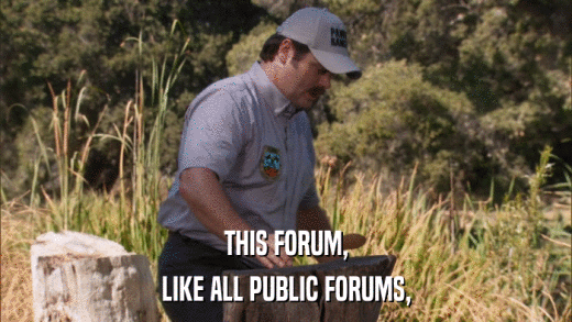 THIS FORUM, LIKE ALL PUBLIC FORUMS, 