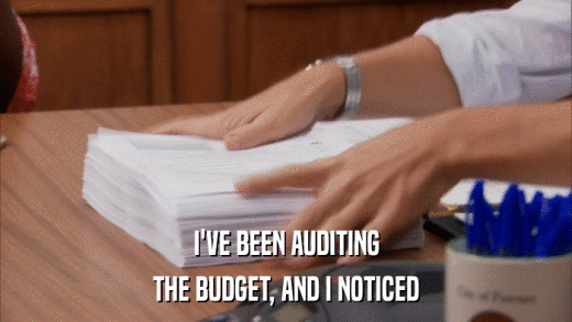 I'VE BEEN AUDITING THE BUDGET, AND I NOTICED 