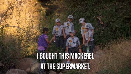 I BOUGHT THIS MACKEREL AT THE SUPERMARKET. 