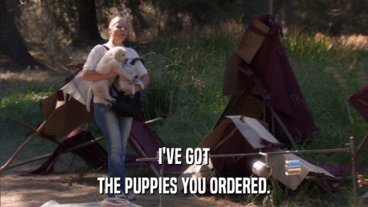 I'VE GOT THE PUPPIES YOU ORDERED. 