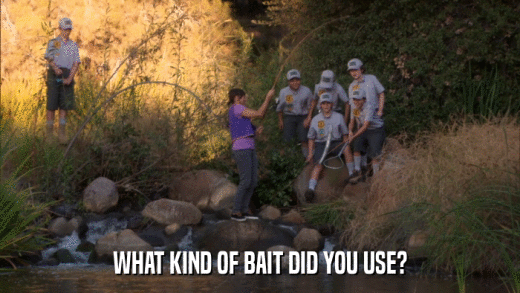 WHAT KIND OF BAIT DID YOU USE?  