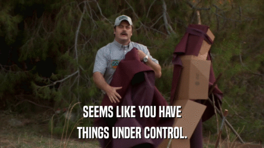 SEEMS LIKE YOU HAVE THINGS UNDER CONTROL. 