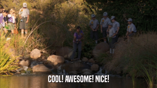 COOL! AWESOME! NICE!  