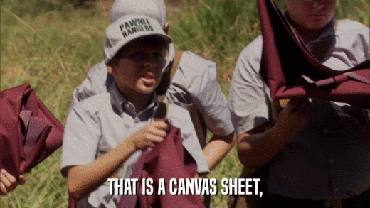 THAT IS A CANVAS SHEET,  