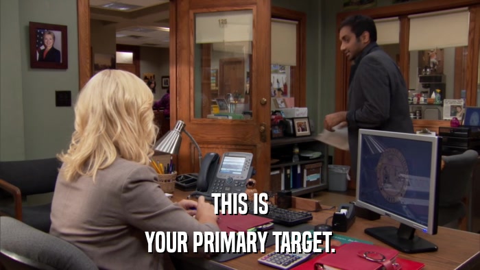 THIS IS YOUR PRIMARY TARGET. 