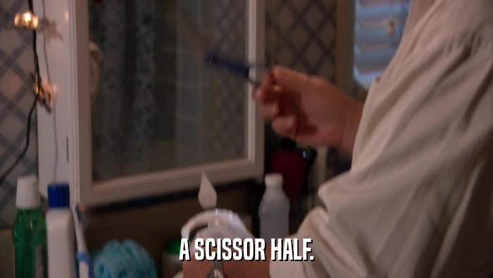 A SCISSOR HALF.  