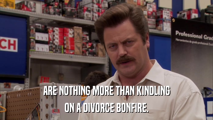 ARE NOTHING MORE THAN KINDLING ON A DIVORCE BONFIRE. 