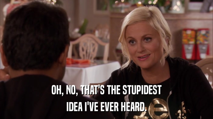 OH, NO, THAT'S THE STUPIDEST IDEA I'VE EVER HEARD. 