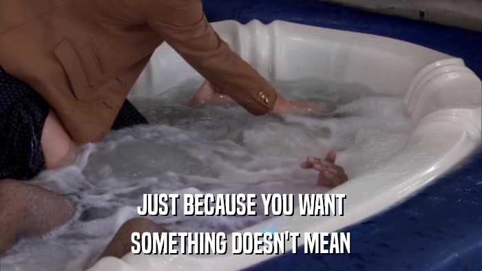 JUST BECAUSE YOU WANT SOMETHING DOESN'T MEAN 