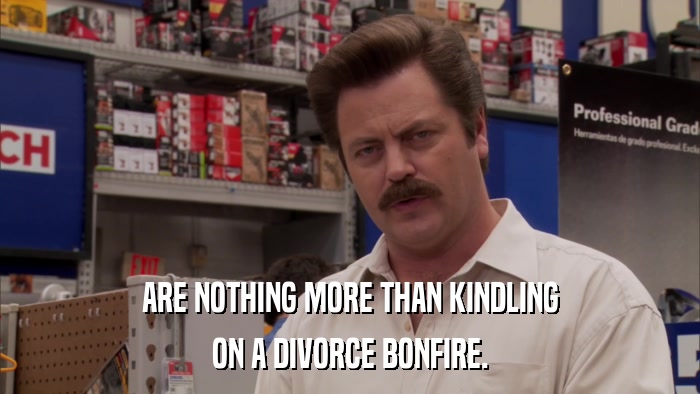 ARE NOTHING MORE THAN KINDLING ON A DIVORCE BONFIRE. 