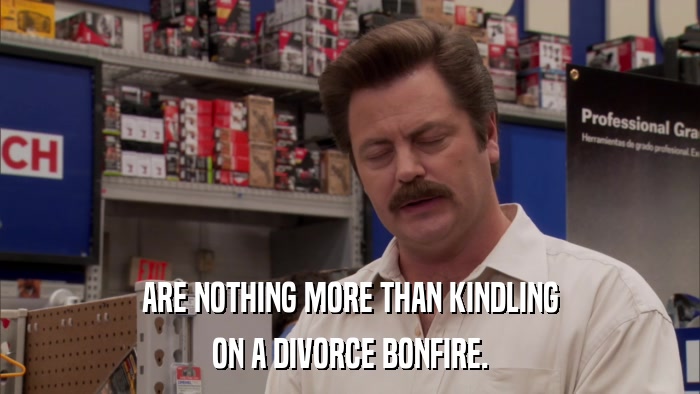 ARE NOTHING MORE THAN KINDLING ON A DIVORCE BONFIRE. 