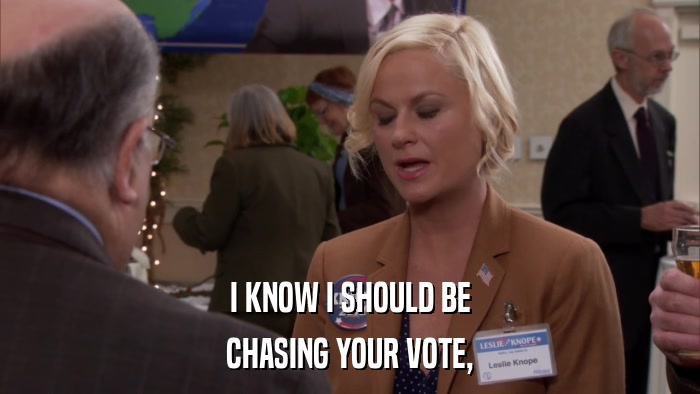 I KNOW I SHOULD BE CHASING YOUR VOTE, 