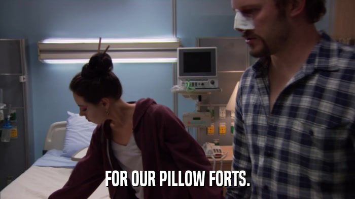 FOR OUR PILLOW FORTS.  