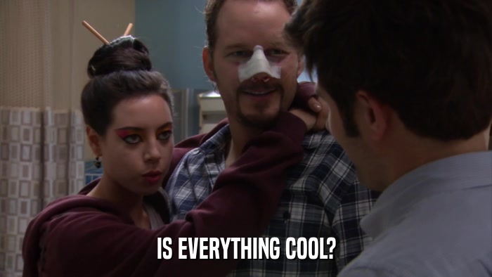 IS EVERYTHING COOL?  