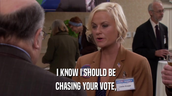 I KNOW I SHOULD BE CHASING YOUR VOTE, 