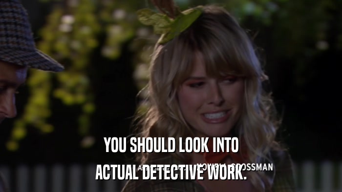 YOU SHOULD LOOK INTO ACTUAL DETECTIVE WORK. 