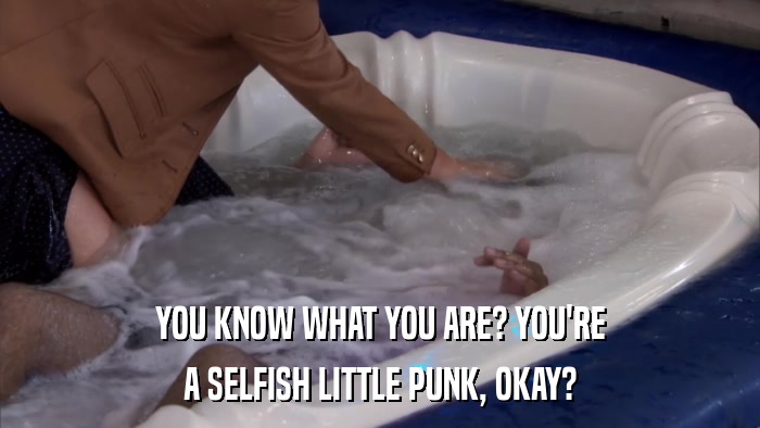 YOU KNOW WHAT YOU ARE? YOU'RE A SELFISH LITTLE PUNK, OKAY? 