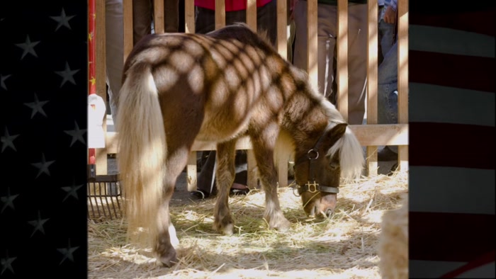 AND IF LIL' SEBASTIAN WERE STILL ALIVE, HE'D SURELY VOTE FOR HER. 