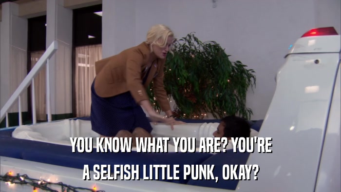 YOU KNOW WHAT YOU ARE? YOU'RE A SELFISH LITTLE PUNK, OKAY? 