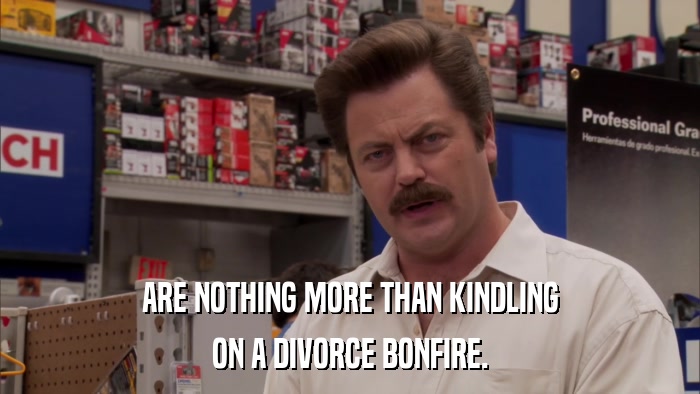 ARE NOTHING MORE THAN KINDLING ON A DIVORCE BONFIRE. 