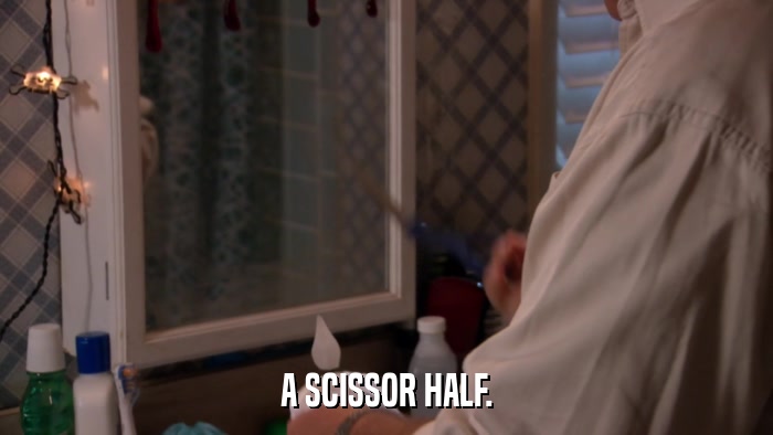 A SCISSOR HALF.  