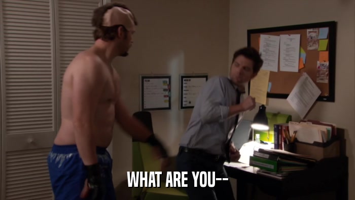 WHAT ARE YOU--  