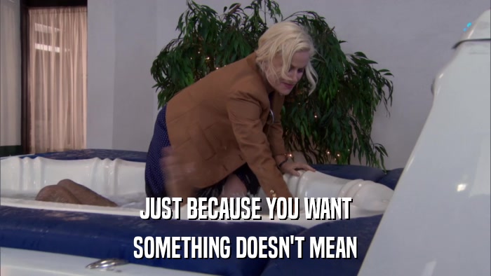 JUST BECAUSE YOU WANT SOMETHING DOESN'T MEAN 