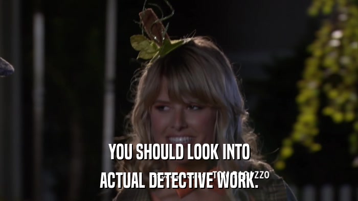 YOU SHOULD LOOK INTO ACTUAL DETECTIVE WORK. 